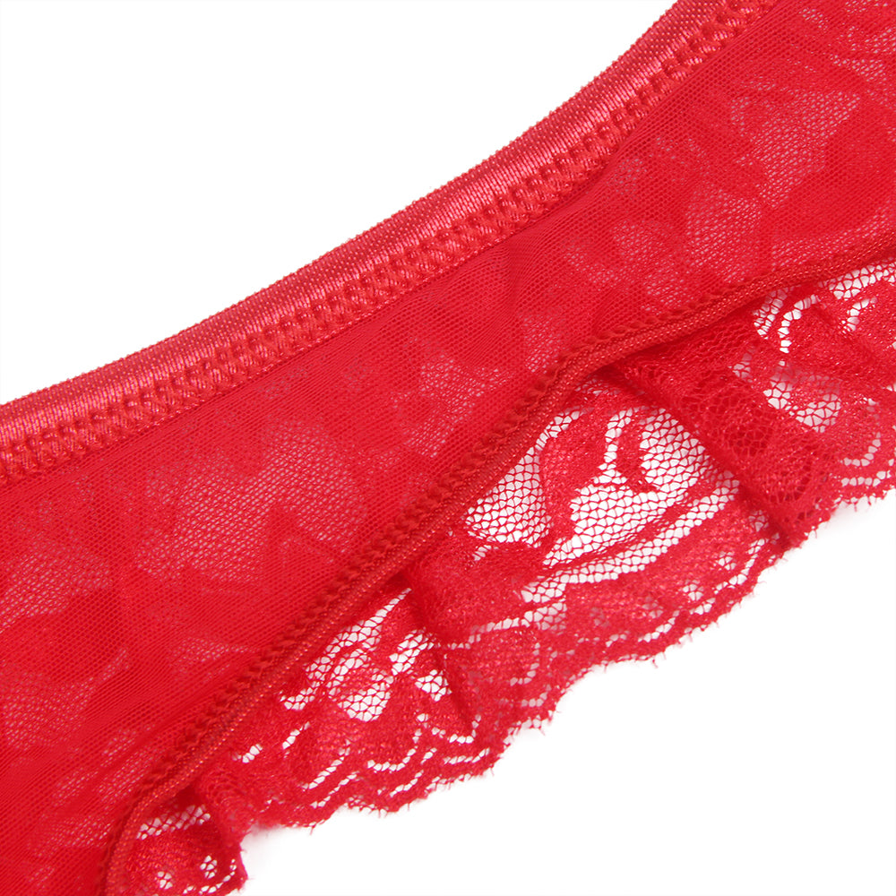 Red Transparent Lace Garter Panties